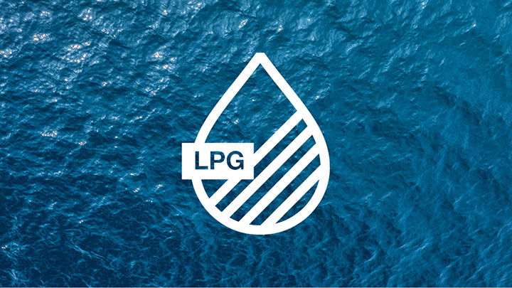 Lpg Systems Logo Vector - (.Ai .PNG .SVG .EPS Free Download)