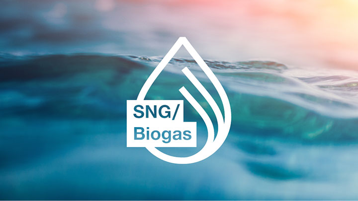SNG/Biogas